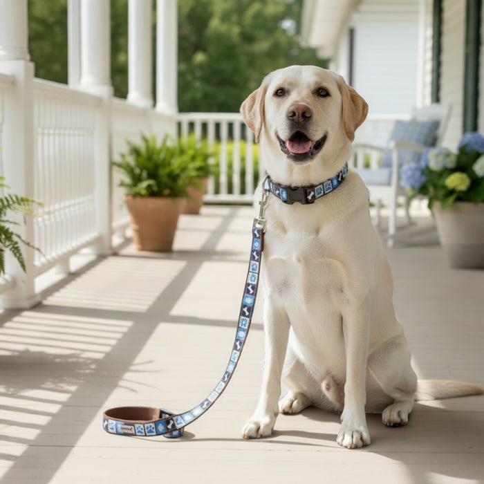 Blue Dog Days Collar