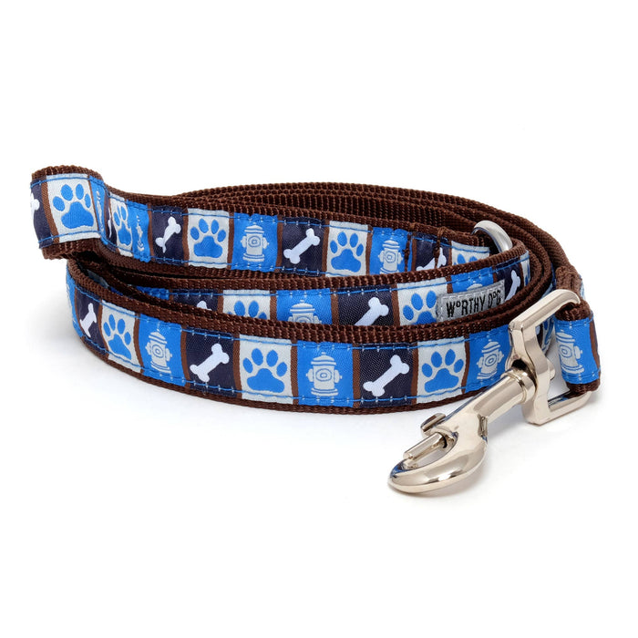 Blue Dog Days Leash