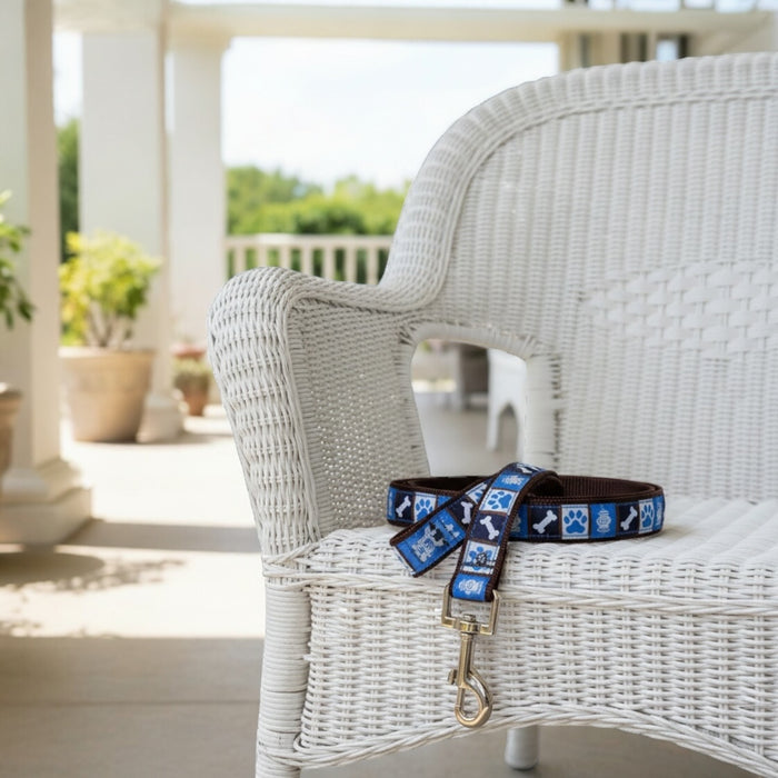Blue Dog Days Leash