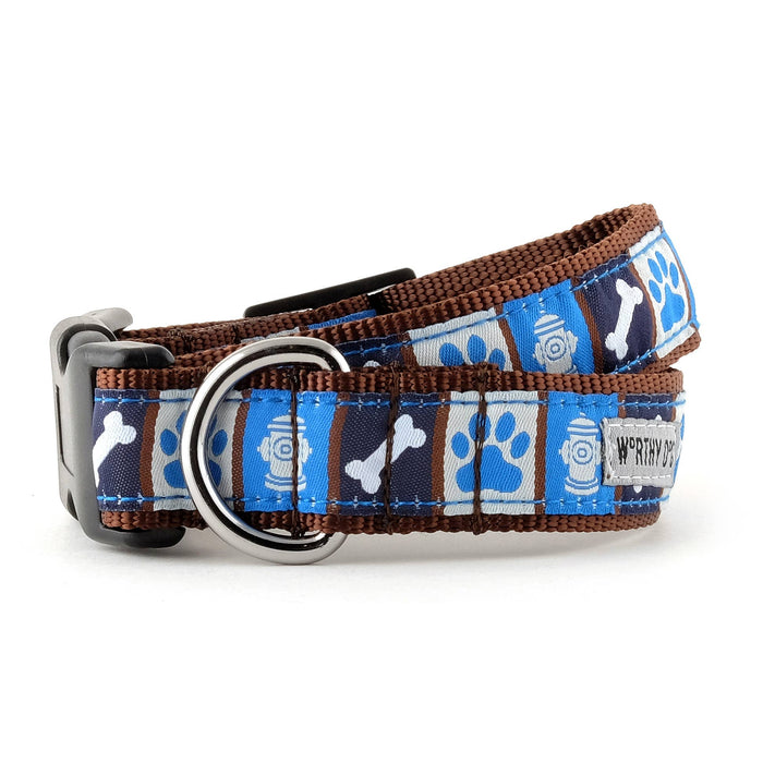 Blue Dog Days Collar